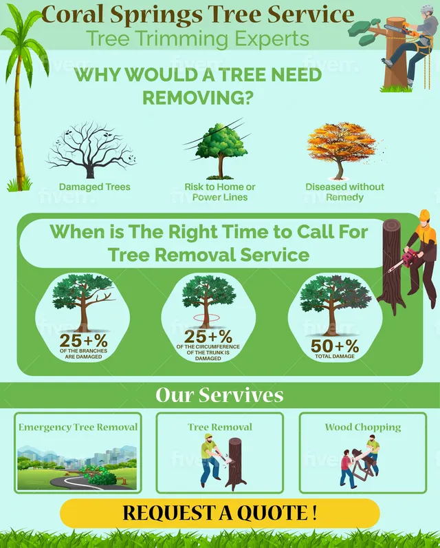 tree-service-coral-springs-tree-removal--281-29-640w
